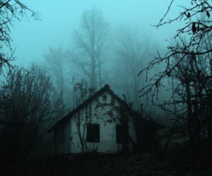 Лесной барак